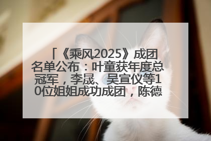 《乘风2025》成团名单公布：叶童获年度总冠军，李晟、吴宣仪等10位姐姐成功成团，陈德容获年度高光人物