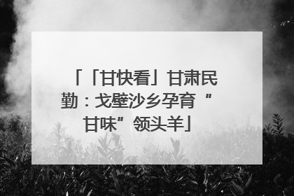 「甘快看」甘肃民勤：戈壁沙乡孕育“甘味”领头羊