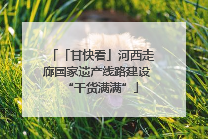 「甘快看」河西走廊国家遗产线路建设“干货满满”