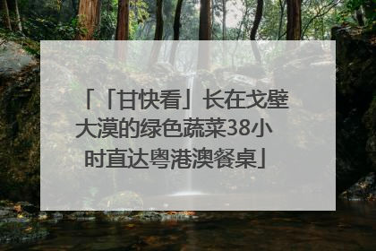 「甘快看」长在戈壁大漠的绿色蔬菜38小时直达粤港澳餐桌