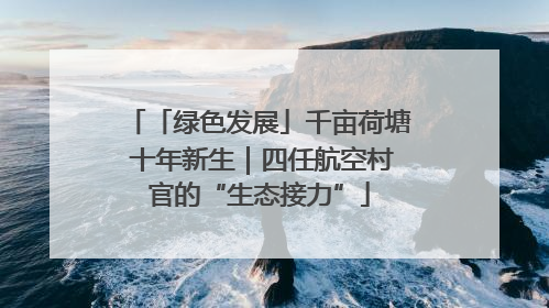 「绿色发展」千亩荷塘 十年新生｜四任航空村官的“生态接力”