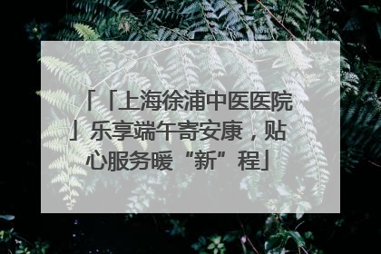「上海徐浦中医医院」乐享端午寄安康，贴心服务暖“新”程