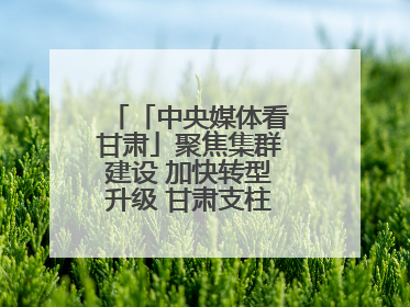 「中央媒体看甘肃」聚焦集群建设 加快转型升级 甘肃支柱产业增势强劲