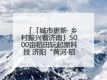 「城市更新· 乡村振兴看济南」5000亩稻田玩起黑科技 济阳“黄河·稻乡湾”靠“非遗+露营”火出圈