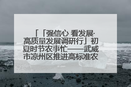 「强信心 看发展·高质量发展调研行」初夏时节农事忙——武威市凉州区推进高标准农田建设见闻