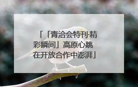 「青洽会特刊·精彩瞬间」高原心跳 在开放合作中澎湃