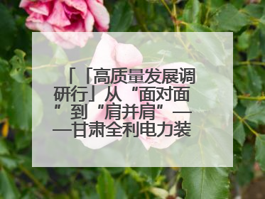 「高质量发展调研行」从“面对面”到“肩并肩”——甘肃全利电力装备生产制造项目一线见闻