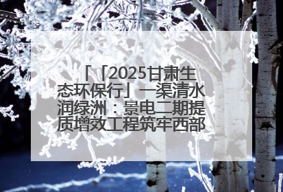 「2025甘肃生态环保行」一渠清水润绿洲：景电二期提质增效工程筑牢西部生态安全屏障