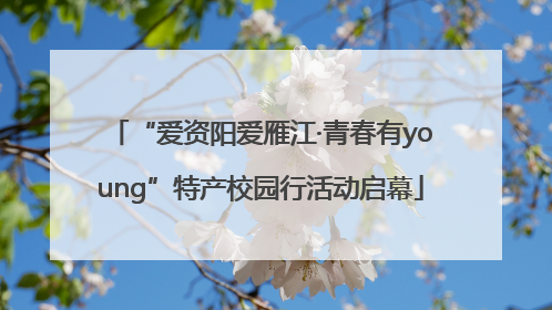 “爱资阳爱雁江·青春有young”特产校园行活动启幕