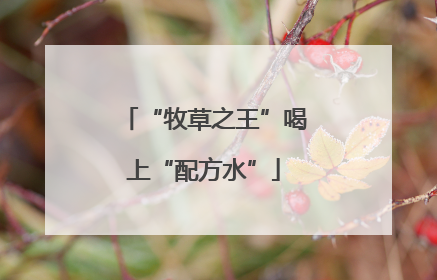 “牧草之王”喝上“配方水”