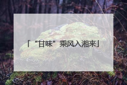 “甘味”乘风入湘来
