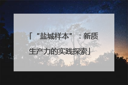 “盐城样本”：新质生产力的实践探索