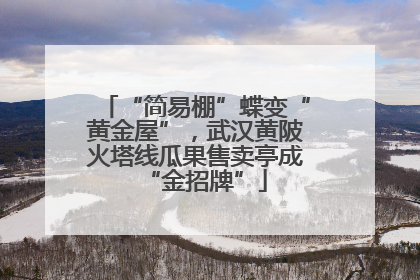 “简易棚”蝶变“黄金屋”，武汉黄陂火塔线瓜果售卖亭成“金招牌”