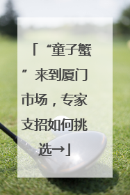 “童子蟹”来到厦门市场，专家支招如何挑选→