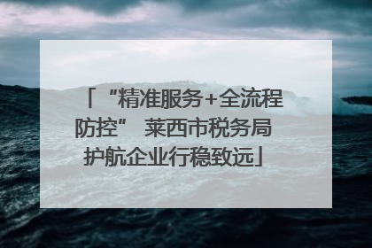 “精准服务+全流程防控” 莱西市税务局护航企业行稳致远