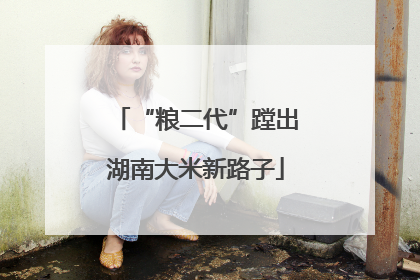 “粮二代”蹚出湖南大米新路子
