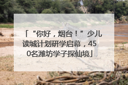“你好，烟台！”少儿读城计划研学启幕，450名潍坊学子探仙境