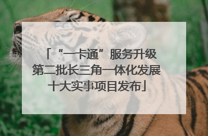 “一卡通”服务升级 第二批长三角一体化发展十大实事项目发布