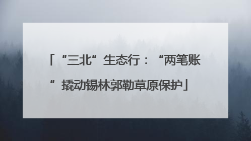 “三北”生态行：“两笔账”撬动锡林郭勒草原保护