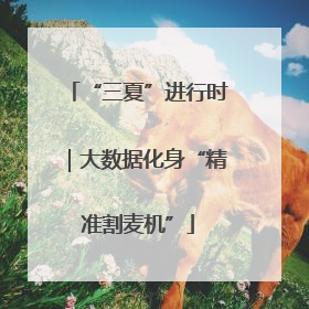 “三夏”进行时｜大数据化身“精准割麦机”