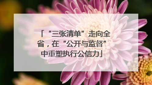 “三张清单”走向全省，在“公开与监督”中重塑执行公信力