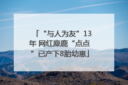 “与人为友”13年 网红麋鹿“点点”已产下8胎幼崽