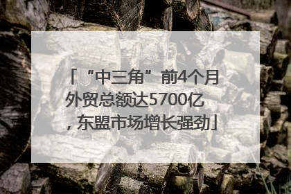 “中三角”前4个月外贸总额达5700亿，东盟市场增长强劲