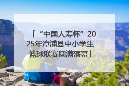 “中国人寿杯”2025年漳浦县中小学生篮球联赛圆满落幕