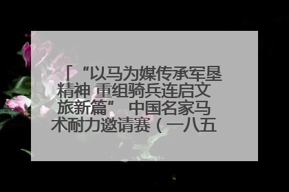 “以马为媒传承军垦精神 重组骑兵连启文旅新篇” 中国名家马术耐力邀请赛（一八五团站）暨重启骑兵连活动正式启动