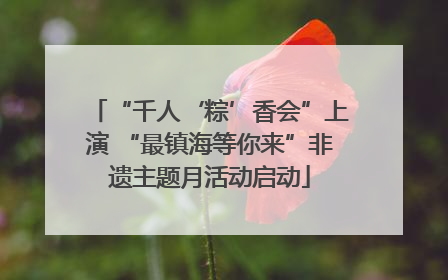 “千人‘粽’香会”上演 “最镇海等你来”非遗主题月活动启动