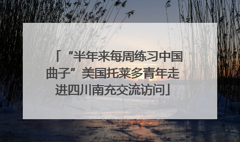 “半年来每周练习中国曲子”美国托莱多青年走进四川南充交流访问