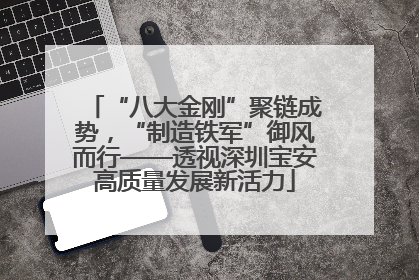 “八大金刚”聚链成势，“制造铁军”御风而行——透视深圳宝安高质量发展新活力