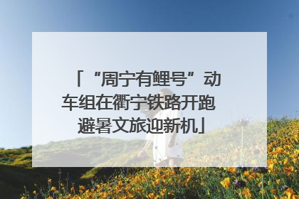 “周宁有鲤号”动车组在衢宁铁路开跑 避暑文旅迎新机