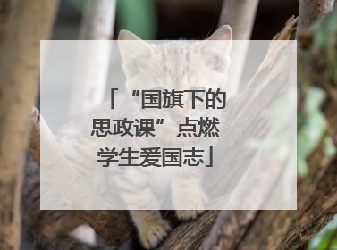 “国旗下的思政课”点燃学生爱国志