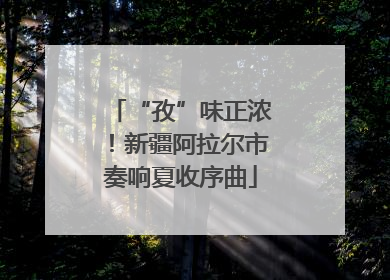 “孜”味正浓！新疆阿拉尔市奏响夏收序曲