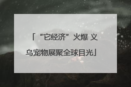 “它经济”火爆 义乌宠物展聚全球目光