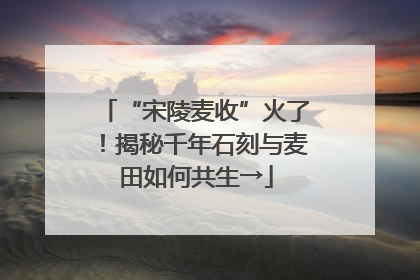 “宋陵麦收”火了！揭秘千年石刻与麦田如何共生→