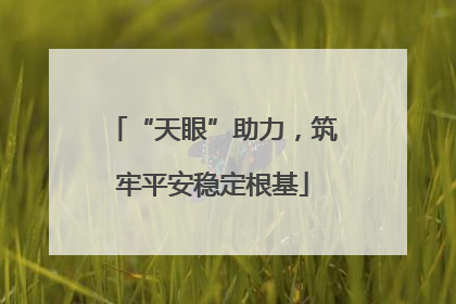 “天眼”助力，筑牢平安稳定根基