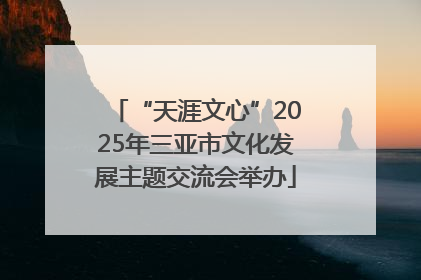 “天涯文心”2025年三亚市文化发展主题交流会举办