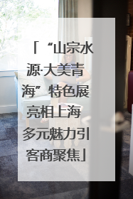 “山宗水源·大美青海”特色展亮相上海 多元魅力引客商聚焦