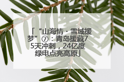 “山海情・雪域援梦”⑦：青岛援藏75天冲刺，24亿度绿电点亮高原