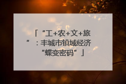 “工+农+文+旅”：丰城市镇域经济“蝶变密码”