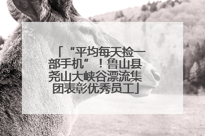 “平均每天捡一部手机”！鲁山县尧山大峡谷漂流集团表彰优秀员工