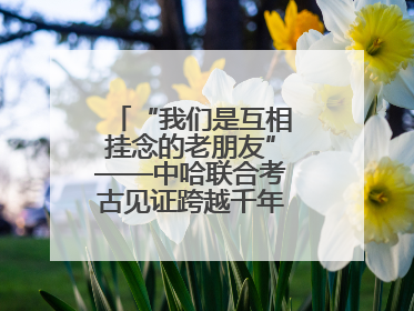 “我们是互相挂念的老朋友”——中哈联合考古见证跨越千年的文明交响