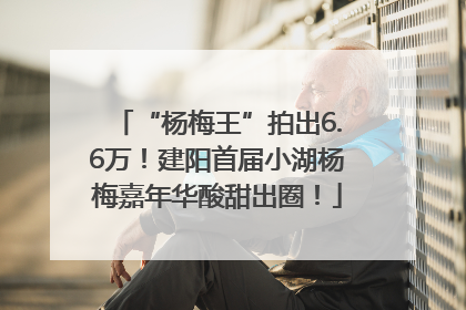 “杨梅王”拍出6.6万！建阳首届小湖杨梅嘉年华酸甜出圈！