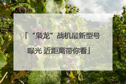 “枭龙”战机最新型号曝光 近距离带你看