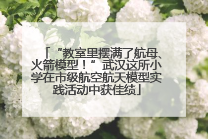 “教室里摆满了航母、火箭模型！”武汉这所小学在市级航空航天模型实践活动中获佳绩