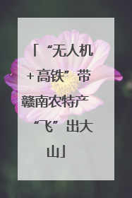 “无人机＋高铁”带赣南农特产“飞”出大山