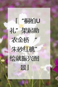 “桐柏U礼”架起助农金桥 “朱砂红桃”绘就振兴图景
