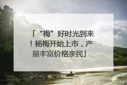 “梅”好时光到来！杨梅开始上市，产量丰富价格亲民